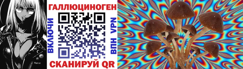 Галлюциногенные грибы мухоморы  Купить где  Хилок 